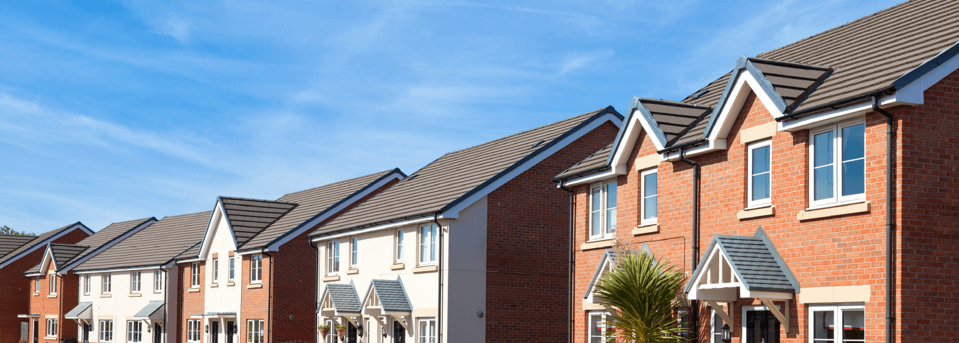landlord-banner-x687px